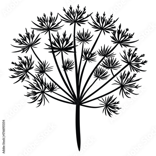 Black monochrome silhouette reveals an umbel flower on a stark white background