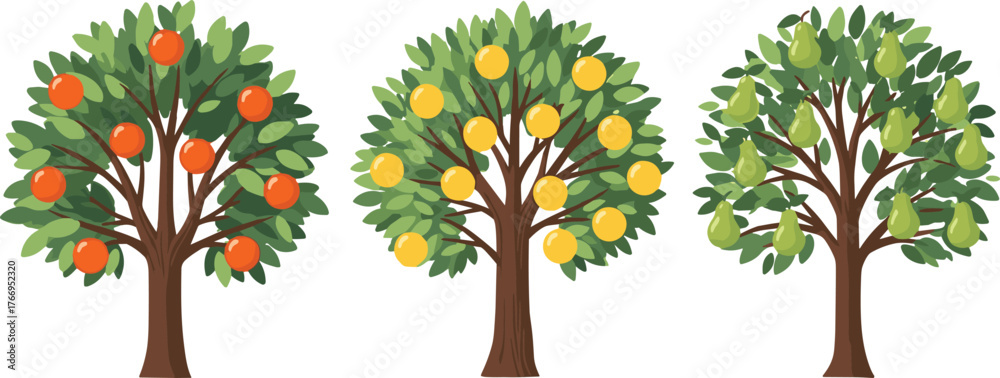 Naklejka premium Fruit trees, orange tree, lemon tree, pear tree, green foliage, botanical illustration, agriculture concept, nature study, orchard design, edible plants