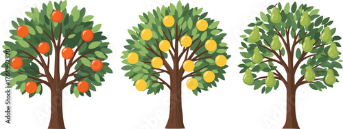 Fruit trees, orange tree, lemon tree, pear tree, green foliage, botanical illustration, agriculture concept, nature study, orchard design, edible plants