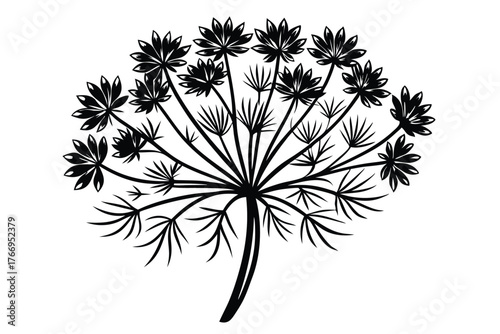 Black umbel flower silhouette shows blooming clusters and intricate stems in minimal style