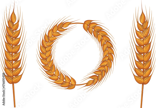 Wheat ears, agricultural symbol, harvest icon, grain illustration, rural theme, golden crop, farming element, food source, nature design, organic growth