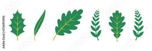 Set of six vector leaf elements with varied shapes and vibrant green color. Ideal for botany, eco, nature, logo, organic, or wedding design.