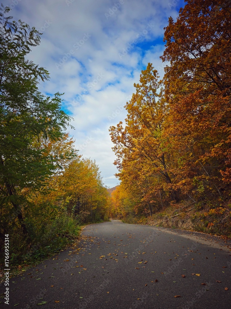 Naklejka premium Beautiful autumn view of empty road with leaves falling from colorful trees and blue sky with white clouds. Muntele Rece, Cluj, Romania