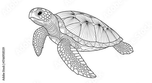 Intricate black and white line drawing of a sea turtle with detailed patterns on its shell and flippers.