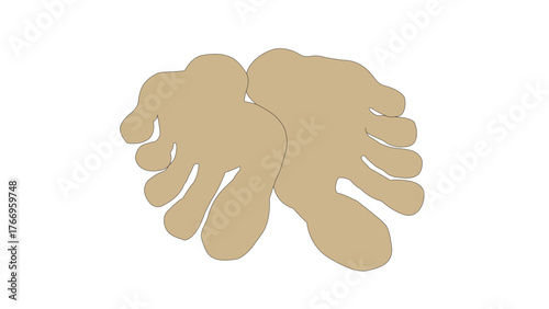 isolated feet soles on white background with shadows