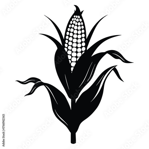 Black silhouette depicts an ear of corn with leafy stalks in format