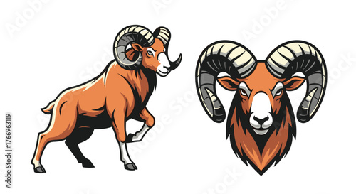 Illustrations of a robust orange ram in dynamic stance and a headshot portrait with impressive horns, exuding strength and character.