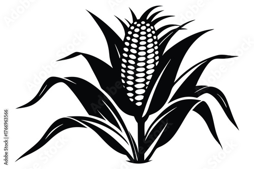 Isolated black corn plant exhibits detailed kernels and sharp leaves against a white background