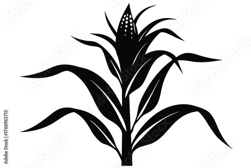 Symbolic corn stalk silhouette showcases stylized foliage and kernels against a white background for agriculturethemed projects