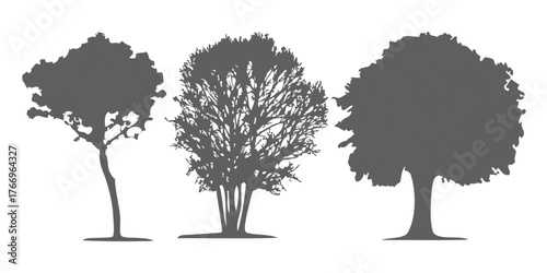 Architectural Drawings, Minimal style cad tree line drawing, Side view, set of section wetland forest outline for landscape design drawing Vector