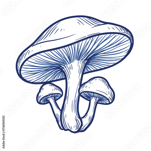 Hand-drawn illustration of mushrooms with detailed textures and shape  
