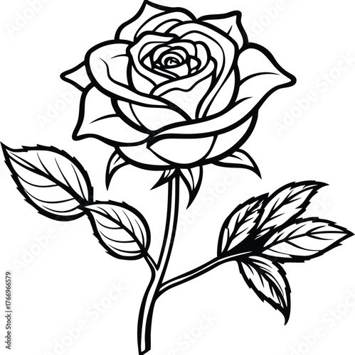 A tiny compact rose flower with a short stem and small leaves isolated on white background isolated on transparent background