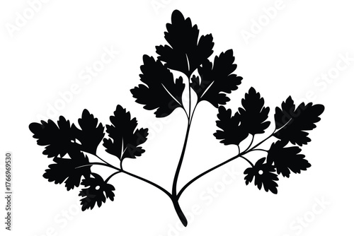 Black parsley sprig silhouette has detailed leaves extending upwards from central stem on a white backdrop