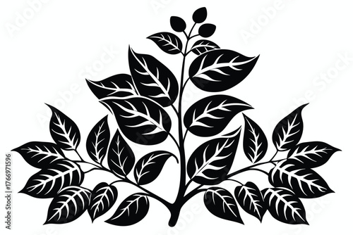 black silhouette shows foliage branch sprouting leaves and buds on the stem