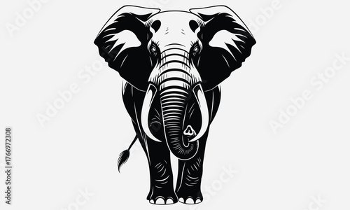 An illustration of an elephant with large ears and tusks, standing front view, in black and white