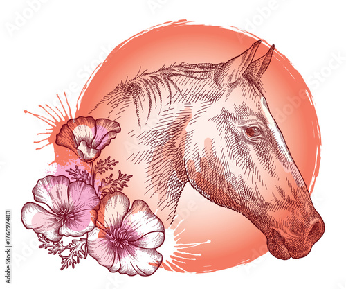 Hand-drawn graphic sketch of horse portrait in red and pink flowers isolated on white background. 