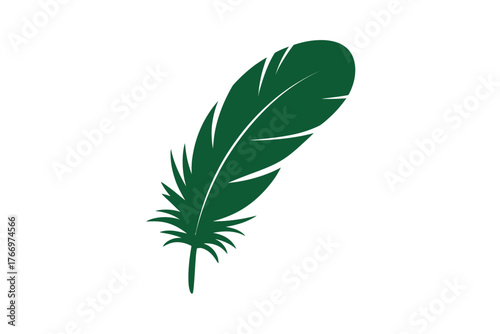 A single green feather with detailed barbs on a plain white background