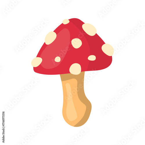 Red spotted amanita mushroom perfect for nature blogs, educational materials, science journals, and mushroom identification guides.