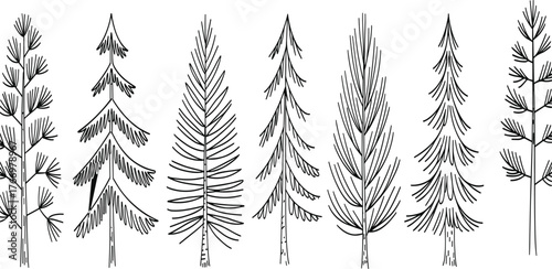 PrintConifer tree silhouette, evergreen illustration, forest graphic, pine shape, black vector trees, nature design, botanical art, isolated icons