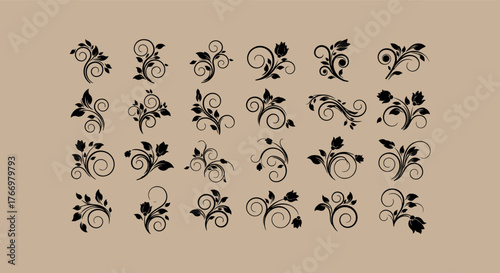 Collection of decorative flourishes and swirls in a vintage style