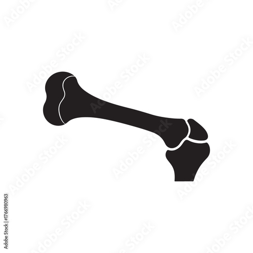 Human femur thigh bone silhouette vector flat illustration design.
