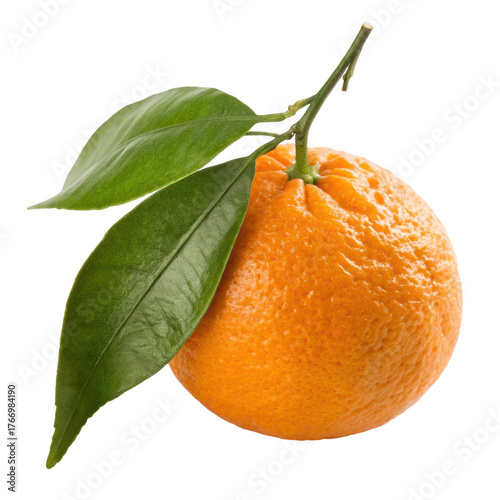 A ripe mandarin orange with attached green leaves and a short stem