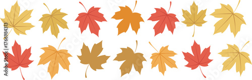 Autumn leaves collection, fall foliage, seasonal colors, yellow, orange, red, brown, nature design, leaf pattern, botanical art, deciduous trees