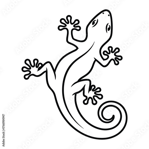 Outline drawing of a lizard with curled tail
