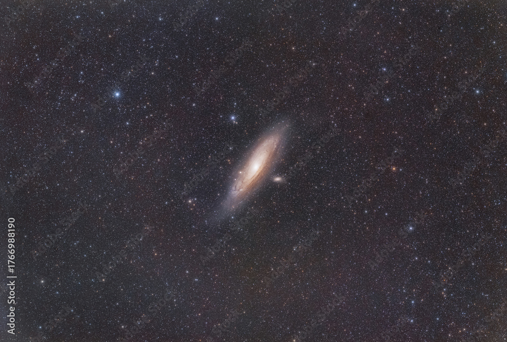Fototapeta premium Night Photography of the Andromeda Galaxy - Infinite Stars of Andromeda