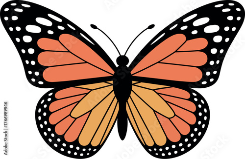 A monarch butterfly with orange, black, and white wings is depicted.