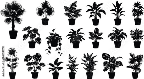 Black silhouette potted plant set, tropical leaves, indoor foliage, botanical icons, minimalist style, vector illustration, white background, home decor