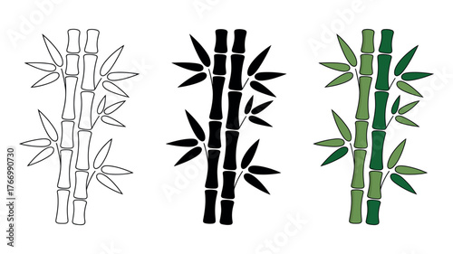 Vector art of bamboo stalk in different styles, line art, silhouette