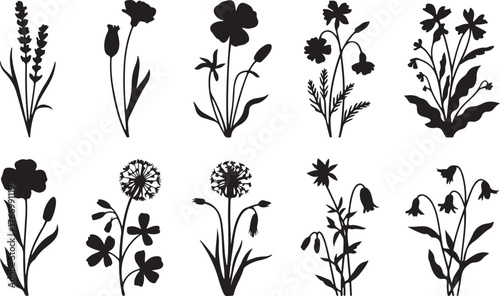 Black and white flower vector set with decorative floral elements