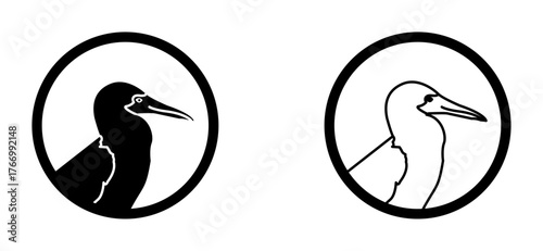 Vector icons of birds inside circular frames, representing wildlife, birdwatching, nature, animal conservation, ornithology, and ecological protection concept isolated on white background.