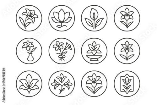 Sacred Lily Icons. Line style icons of sacred and cultural lilies in round shape: easter lily, spiritual bloom, peace lily,