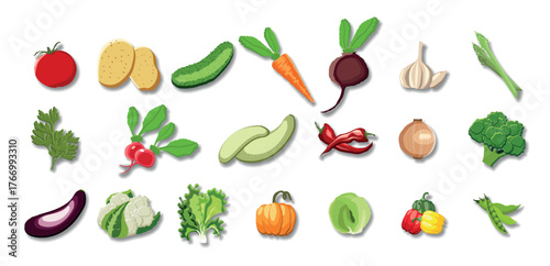 A big hand drawn set of vegetables in juicy cartoon style. The concept of healthy farm food and products. A bright element for your design. Tomato, cucumber, potato, carrot, pumkin, onion