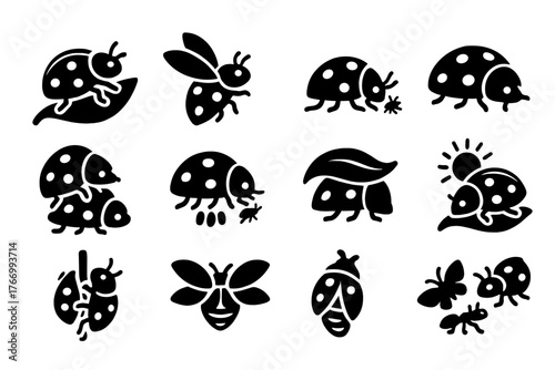 Ladybug Behavior Icons. Solid style icons of Ladybug behavior: crawling leaf, flying, feeding aphids, resting, mating, laying eggs