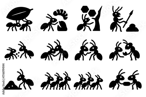 Insect Teamwork Icons. Solid style icons of Insect teamwork: carrying leaf, feeding larvae, building nest, defending colony,