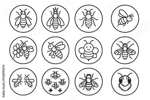 Bee Icon Collection. Line style icons of bees in round shape: worker bee, queen bee, drone bee, flying bee; bee on flower, bee