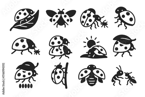 Ladybug Behavior Icons. Solid style icons of Ladybug behavior: crawling leaf, flying, feeding aphids, resting, mating, laying eggs