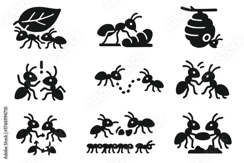 Insect Teamwork Icons. Solid style icons of Insect teamwork: carrying leaf, feeding larvae, building nest, defending colony,