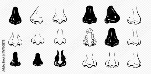 A collection of nose drawings, showcasing various shapes and styles in both black and white line art.