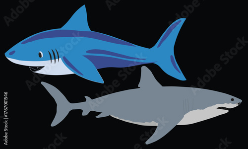 Vector illustration of a great white shark swimming underwater in the blue ocean, a formidable marine predator