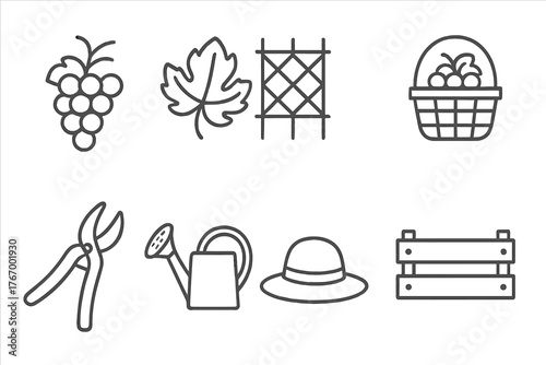 Vineyard Life Icons. Line style icons of Vineyard life: grape cluster, vine leaf, trellis, basket of grapes, pruning shears,