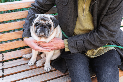 Man sitting on bench with pug in his arms. The photo symbolizes loyalty, care and emotional bond between human and animal through calm companionship and mutual trust.