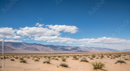 Vast desert landscape with sparse vegetation under a clear blue sky with scattered clouds and distant mountains