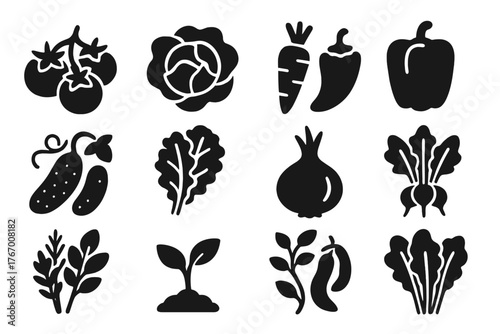 Edible Plant Icons. Solid style icons of Edible Plants: tomato cluster, lettuce head, carrot root, green pepper, cucumber vine,