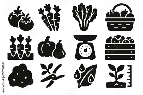 Seasonal Harvest Icons. Solid style icons of Seasonal Harvest: ripe tomatoes, bunch of carrots, leafy greens, garden basket, root