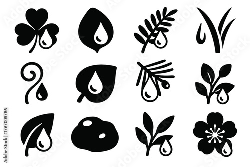 Dew on Botanical Icons. Solid style icons of Dew on Plants: clover leaf with dew, rose petal droplet, fern leaf moisture, blade of
