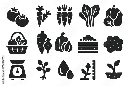 Seasonal Harvest Icons. Solid style icons of Seasonal Harvest: ripe tomatoes, bunch of carrots, leafy greens, garden basket, root